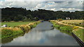 TL3313 : River Lee Navigation near Hertford by Malc McDonald