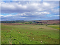 SE8494 : Levisham Moor View by Scott Robinson