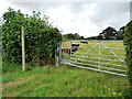 TF3264 : Public footpath towards Miningsby Grange by Christine Johnstone