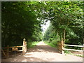 NT5980 : Rural East Lothian : An Entrance To Binning Memorial Wood by Richard West