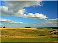 SU1576 : View towards Ogbourne Down from Barbury Castle, Wiltshire by Brian Robert Marshall