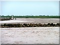 SE8623 : Tidal pool at Trent Falls beginning to fill by Christine Johnstone