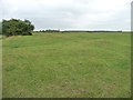 TF1170 : Lumps and bumps at Bardney Abbey by Christine Johnstone