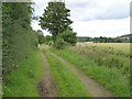 SK8732 : Harlaxton Quarries railway trackbed by Alan Murray-Rust