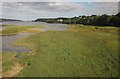 SX8772 : Hackney Marshes, Teign estuary by Derek Harper