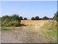 TM2699 : Field entrance off Backwood Lane by Geographer