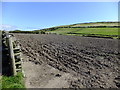 SC1867 : Ploughed field at Cregneash by Richard Hoare