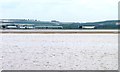 SE9623 : Wading birds on Redcliff Middle Sand by Christine Johnstone