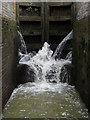 SP6989 : In Foxton Locks, Leicestershire by Roger  D Kidd