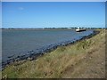 TG5107 : South bank of Breydon Water by Christine Johnstone