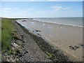 TG5007 : Eastern extremity, Breydon South Flats by Christine Johnstone