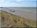 TG5007 : Sunken boat near the shore, Breydon Water by Christine Johnstone