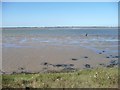 TG5007 : Sunken posts, low water line, Breydon Water by Christine Johnstone