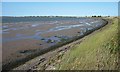 TG5007 : Ribbons of water, Breydon South Flats by Christine Johnstone