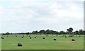 TG4202 : Drained field with wrapped hay bales by Christine Johnstone