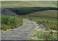 SH5459 : Forestry road below Cefn-du by Trevor Littlewood