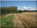 SP1370 : Poplars and wheat stubble south of Umberslade by Robin Stott