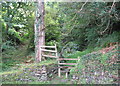 SS6949 : The path to Six Acre Wood - Lee Abbey, North Devon by Martin Richard Phelan