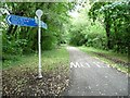 ST2999 : Cycleway signpost on the former railway line by Christine Johnstone