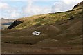 NY2313 : National Trust Logo on Seatoller Fell by Mick Garratt