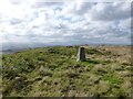  : Trig point on Eglingham Moor looking west by Russel Wills