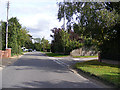 TG2503 : Caistor Lane, Caistor St.Edmund by Geographer