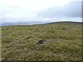 NN8185 : The western summit of Leathad an Taobhain by Richard Law