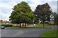 SJ8004 : Roundabout at the top of Bowling Green Lane by John M