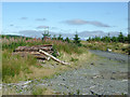 SN8255 : Forestry on Pen y Cnwc, Powys by Roger  D Kidd