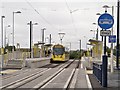 SJ9299 : Ashton West Tram Stop by David Dixon