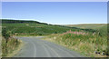 SN8256 : Forestry road and Esgair Cloddiad, Powys by Roger  D Kidd