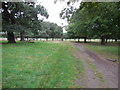 TQ2172 : Path in Richmond Park by Paul Gillett