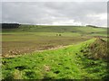 NU0431 : Arable land near the Hetton Burn by Graham Robson