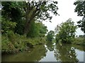 SU1862 : Kennet & Avon canal between bridges 111 and 110 by Christine Johnstone