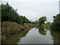 SU1761 : Kennet & Avon canal between bridges 112 and 111 by Christine Johnstone