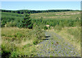 SN8156 : Forestry road into Cwm Cloddiad, Powys by Roger  D Kidd