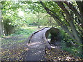 TQ2063 : Packhorse bridge over the Hogsmill River by Marathon