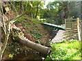 SJ2370 : Footbridge over the Afon Conwy by Maggie Cox