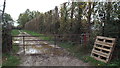 TR0363 : Muddy footpath near Faversham by Malc McDonald