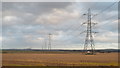 TR0163 : Pylons near Faversham by Malc McDonald