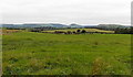 SO1267 : Upland plateau between Dolau and Llanddewi Ystradenni by Jaggery