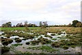 SJ4250 : River Dee Flood Plain near Shocklach by Jeff Buck