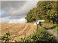 TQ6060 : Signpost on Tumblefield Road by Stephen Craven