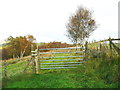 SE0023 : Field gate on Hebden Royd FP109 by Humphrey Bolton