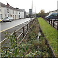 SS7397 : Weed-choked drainage channel, Drummau Road, Skewen by Jaggery