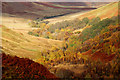 NN2985 : Autumn colours in the Roy gorge by Andy Waddington