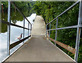 SO8263 : Pigeon on a landing stage by Mat Fascione