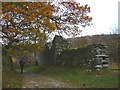 NY3705 : Ruin beside Sweden Bridge Lane by Karl and Ali