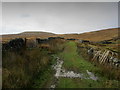 SE0477 : Walled Track at Lodge by Chris Heaton