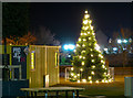 J5081 : Christmas Tree, Bangor by Rossographer